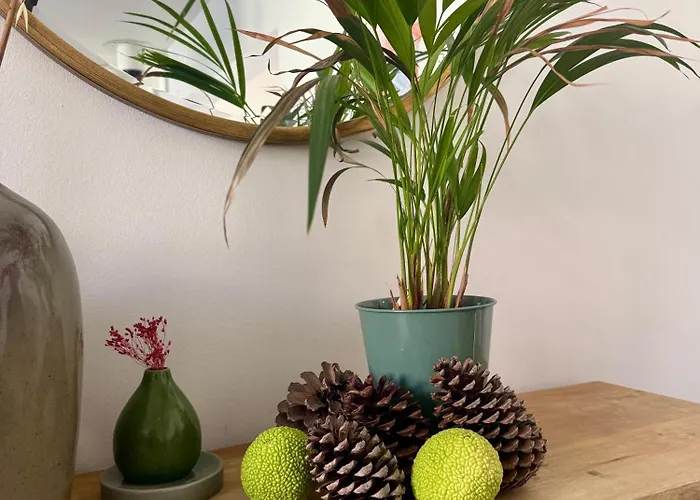 Maison Jardin - Centre 别墅 昂热