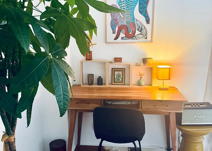 Maison Jardin - Centre 别墅 *